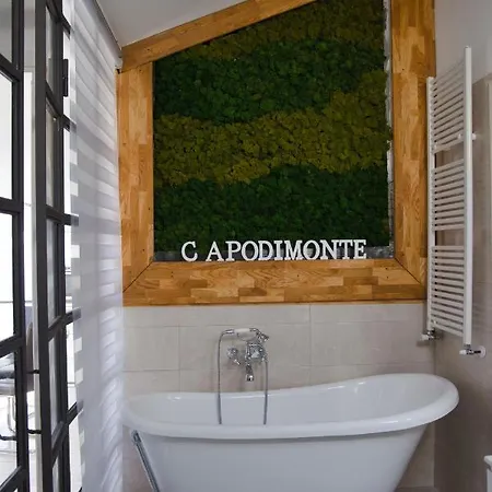 Appartement Penthouse Capodimonte *